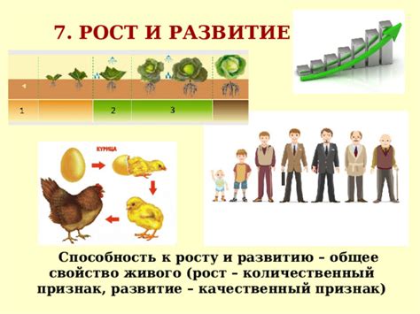 Второй признак: способность к росту и размножению