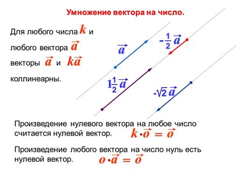 Вхождение скоростей вектора vx в физике