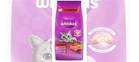 Выбираем между Felix и Whiskas