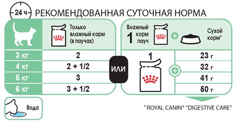 Выбор качественных продуктов для приготовления еды для кошки