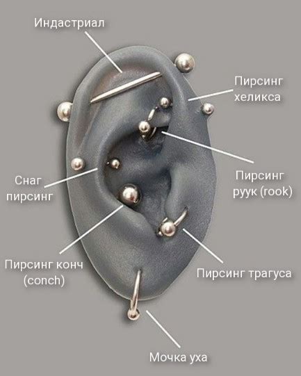 Выбор места для пирсинга