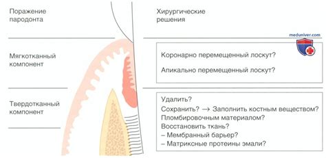 Выбор метода сжигания корней