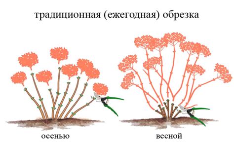 Выбор момента обрезки