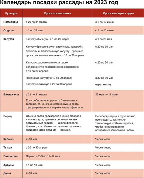 Выбор оптимального времени для посадки растений в средней полосе России