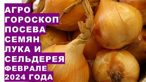 Выбор подходящих культур для следующего года после сельдерея