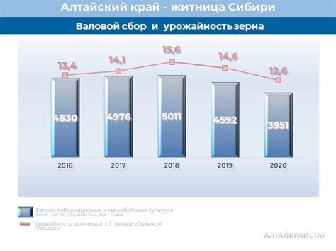 Выращивание основных сельскохозяйственных культур в Алтайском крае