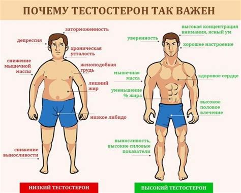 Высокий уровень тестостерона