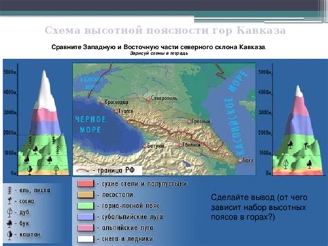 Высотная поясность в горах Кавказа: особенности