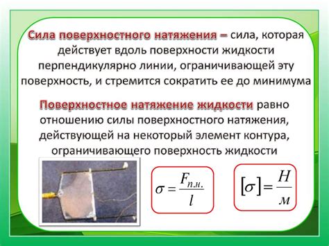 Вязкость и поверхностное натяжение: роль в физических процессах