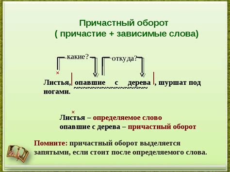 В причастный оборот не входит: основные правила и исключения