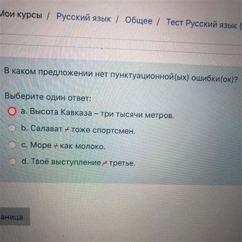 В чем суть пунктуационной ошибки?