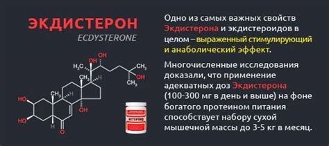 Где можно приобрести экдистерон и его стоимость