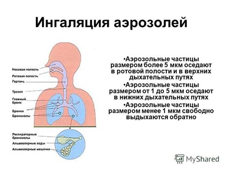 Где применяются частицы размером меньше 5 мкм