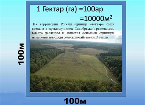 Гектар - это огромная площадь земли