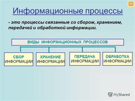 Гемолимфа: основные понятия и общая информация