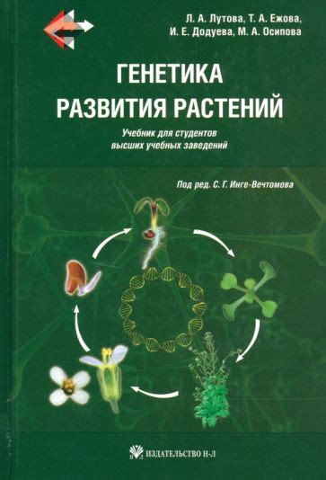 Генетика растений: исследование наследственных связей