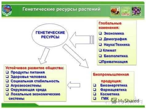 Генетические, окружающая среда, стресс