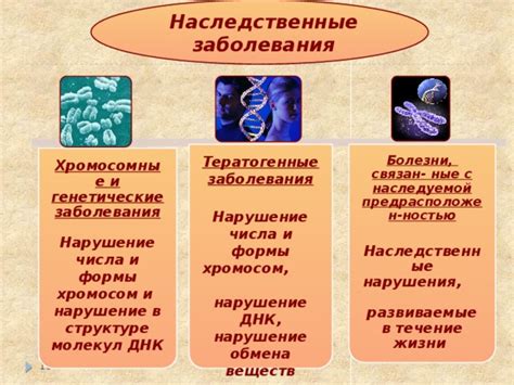 Генетические болезни: нарушения в передаче информации