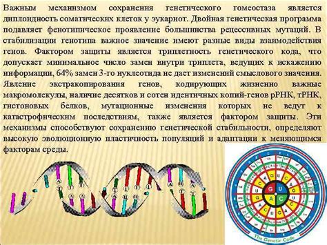 Генетические механизмы