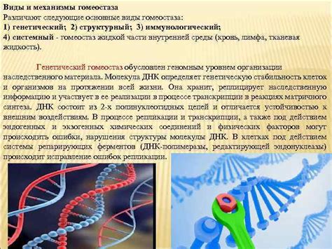 Генетические механизмы их отсутствия