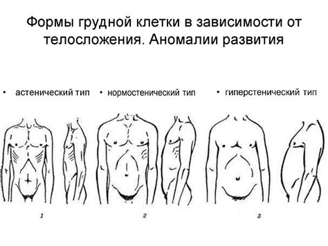 Генетические причины развития широкой грудной клетки