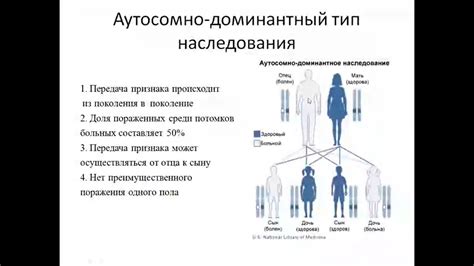 Генетические причины реполяризационных нарушений