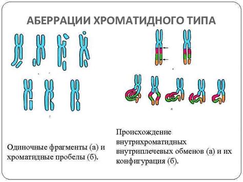 Генные мутации и хромосомные аномалии