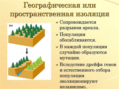 Географическая изоляция и ее роль в дивергенции