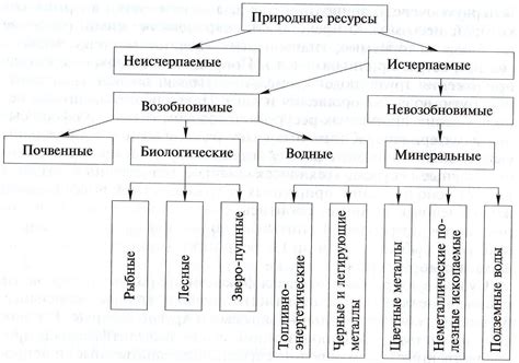 Географические особенности и ресурсы