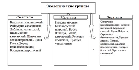 Географический анализ ресурсообеспеченности