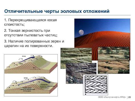 Геологические процессы образования нефти