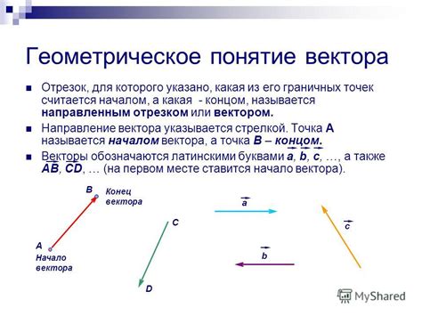 Геометрическое представление радиуса вектора