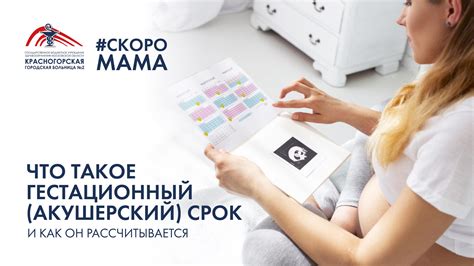 Гестационный срок: определение и значение для развития ребенка