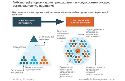 Гибкая организационная структура