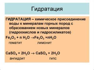 Гидратация и обмен веществ