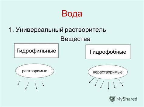 Гидрофильное и гидрофобное действие: основные отличия и области применения