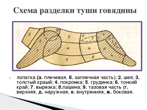 Глава 4: Выбор и приготовление говядины