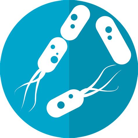 Главные причины появления Escherichia coli у мужчин