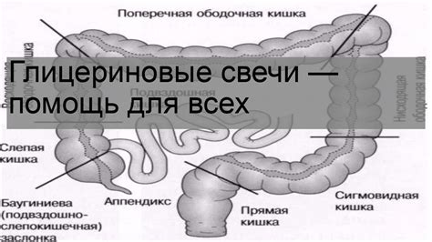 Глицериновые свечи: мягкое и эффективное средство для родов