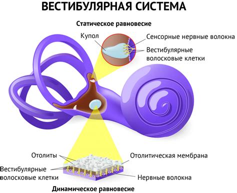 Головокружение после затяжки: основные причины