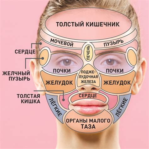 Горизонтальные полости лица - основные причины симптомов