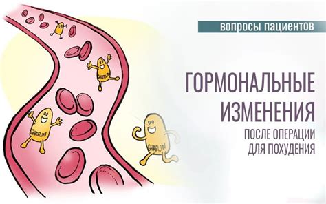 Гормональные изменения и набор веса: связь между ними