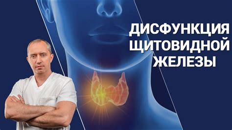 Гормональный статус: исследование щитовидной железы