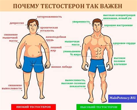 Гормональный фон кур