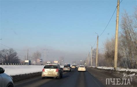 Городская среда и содержание оксида азота