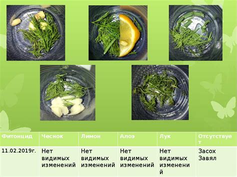 Градусы и их влияние на сохранность продуктов