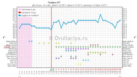 Действие Дюфастона на процесс овуляции: