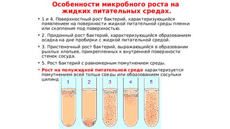 Действие микробов на тесто