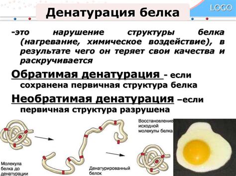 Денатурация белка