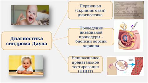 Диагностика дистрофических изменений ворсин хориона